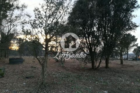 Helårsgrund i Santo Tirso, Porto, Santo Tirso - € 1.000.000 | Ref: 243-T-00579 - foto 5