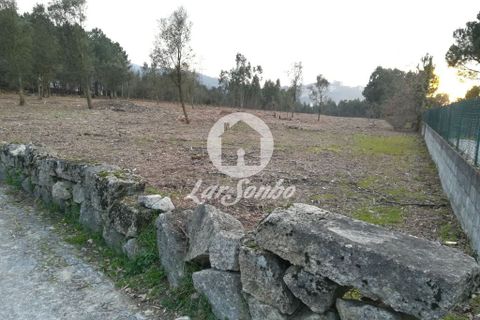 Helårsgrund i Santo Tirso, Porto, Santo Tirso - € 1.000.000 | Ref: 243-T-00579 - foto 9