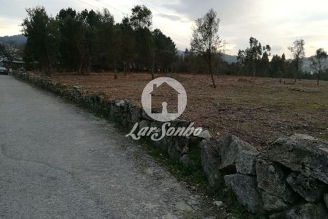 Helårsgrund i Santo Tirso, Porto, Santo Tirso - € 1.000.000 | Ref: 243-T-00579 - foto 10