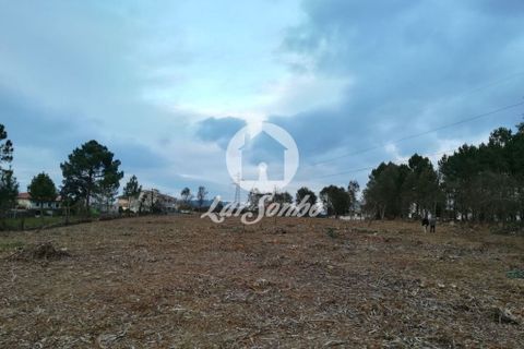 Helårsgrund i Santo Tirso, Porto, Santo Tirso - € 1.000.000 | Ref: 243-T-00579 - foto 11