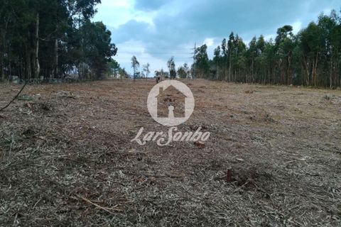 Helårsgrund i Santo Tirso, Porto, Santo Tirso - € 1.000.000 | Ref: 243-T-00579 - foto 14