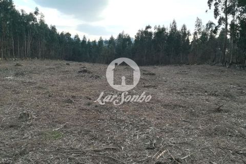 Helårsgrund i Santo Tirso, Porto, Santo Tirso - € 1.000.000 | Ref: 243-T-00579 - foto 15