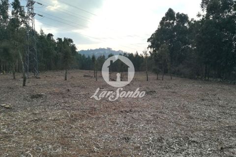 Helårsgrund i Santo Tirso, Porto, Santo Tirso - € 1.000.000 | Ref: 243-T-00579 - foto 17