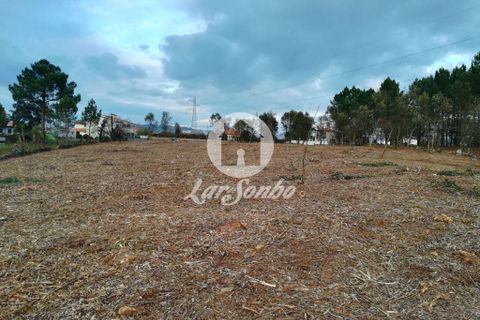 Helårsgrund i Santo Tirso, Porto, Santo Tirso - € 1.000.000 | Ref: 243-T-00579 - foto 18