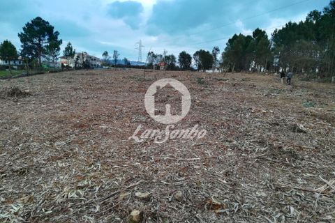 Helårsgrund i Santo Tirso, Porto, Santo Tirso - € 1.000.000 | Ref: 243-T-00579 - foto 19