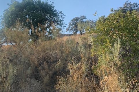Landejendom i Comares, Malaga, Comares - € 69.000 | Ref: ID3900 - foto 20