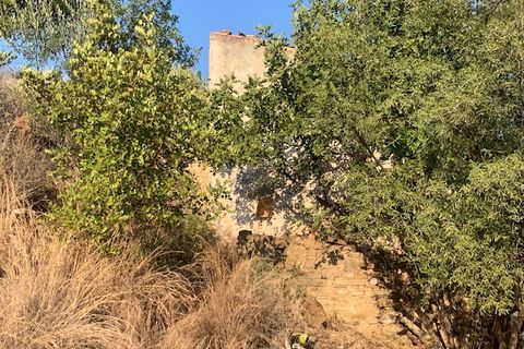 Landejendom i Comares, Malaga, Comares - € 69.000 | Ref: ID3900 - foto 18