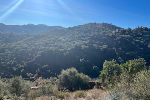 Landejendom i Comares, Malaga, Comares - € 69.000 | Ref: ID3900 - foto 25