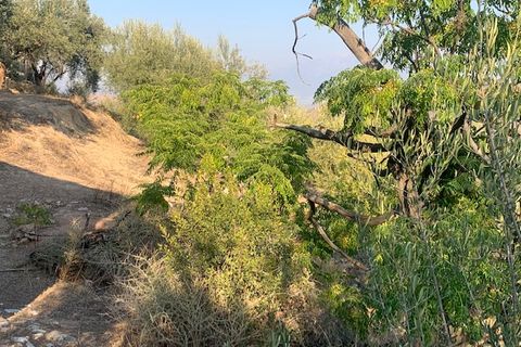 Landejendom i Comares, Malaga, Comares - € 69.000 | Ref: ID3900 - foto 15