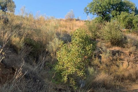 Landejendom i Comares, Malaga, Comares - € 69.000 | Ref: ID3900 - foto 22