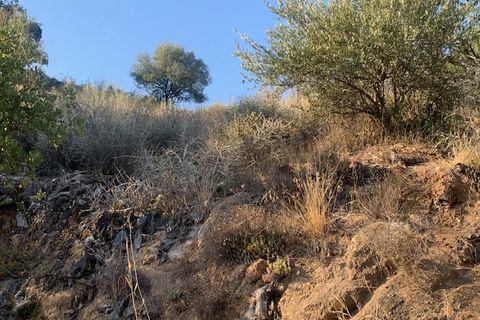 Landejendom i Comares, Malaga, Comares - € 69.000 | Ref: ID3900 - foto 19