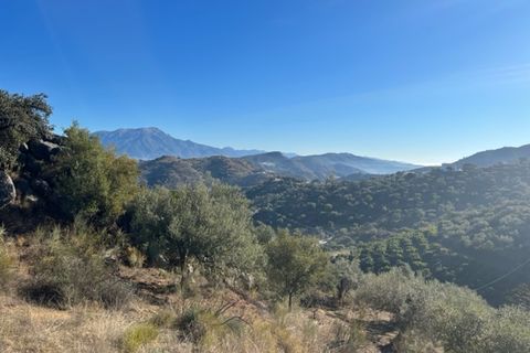 Landejendom i Comares, Malaga, Comares - € 69.000 | Ref: ID3900 - foto 28