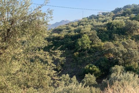 Landejendom i Comares, Malaga, Comares - € 69.000 | Ref: ID3900 - foto 21
