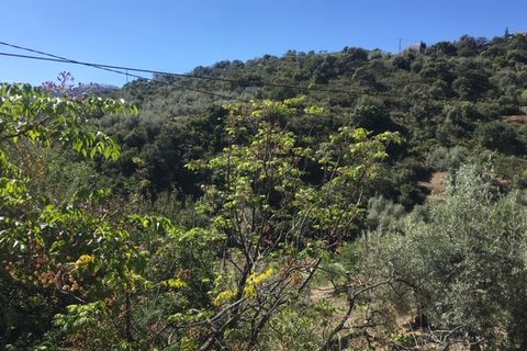 Landejendom i Comares, Malaga, Comares - € 69.000 | Ref: ID3900 - foto 11
