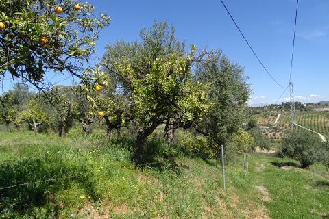 Finca i Alora, Malaga, Alora - € 160.000 | Ref: 7170 - foto 3