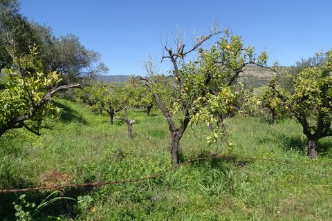 Finca i Alora, Malaga, Alora - € 160.000 | Ref: 7170 - foto 4