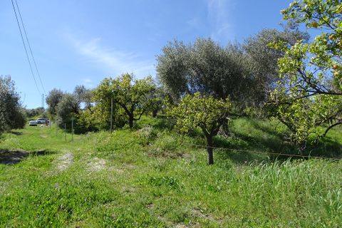 Finca i Alora, Malaga, Alora - € 160.000 | Ref: 7170 - foto 7