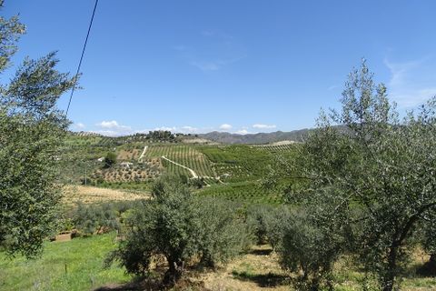 Finca i Alora, Malaga, Alora - € 160.000 | Ref: 7170 - foto 6