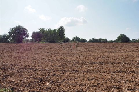 Helårsgrund i Scicli, Ragusa, Scicli - € 74.000 | Ref: 11 - foto 4