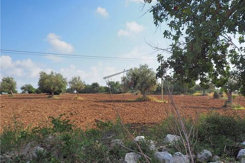 Helårsgrund i Scicli, Ragusa, Scicli - € 74.000 | Ref: 11 - foto 8