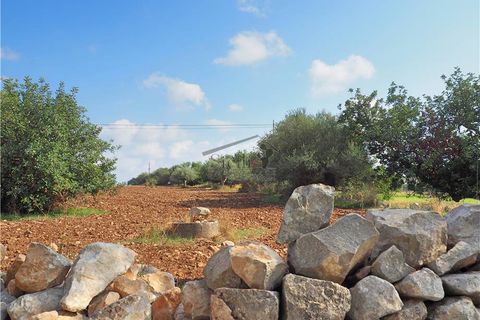 Helårsgrund i Scicli, Ragusa, Scicli - € 74.000 | Ref: 11 - foto 9