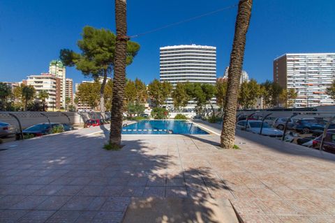 Apartament a Benidorm, Alicante, Benidorm - € 890/mes | Ref: 1058 - foto 17