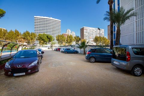 Apartament a Benidorm, Alicante, Benidorm - € 890/mes | Ref: 1058 - foto 19