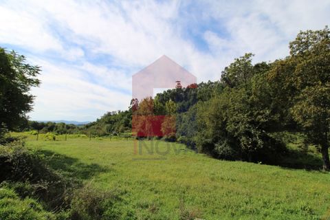 Helårsgrund i Vila Verde, Braga, Vila Verde - € 12.500 | Ref: 07419 - foto 3