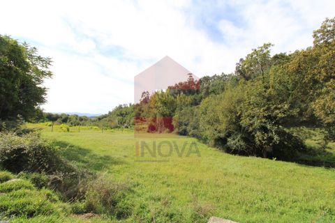 Helårsgrund i Vila Verde, Braga, Vila Verde - € 12.500 | Ref: 07419 - foto 4