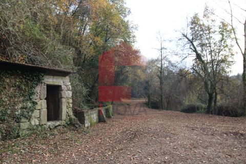Helårsgrund i Vila Verde, Braga, Vila Verde - € 30.000 | Ref: 07420 - foto 3