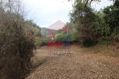 Helårsgrund i Vila Verde, Braga, Vila Verde - € 30.000 | Ref: 07420 - foto 5