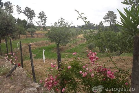 Helårsgrund i Viseu, Viseu, Viseu - € 95.000 | Ref: LMG_3620 - N - foto 2