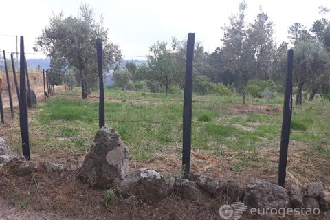 Helårsgrund i Viseu, Viseu, Viseu - € 95.000 | Ref: LMG_3620 - N - foto 3
