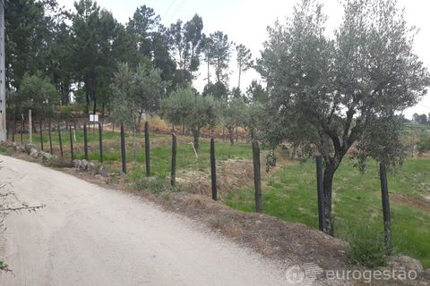 Helårsgrund i Viseu, Viseu, Viseu - € 95.000 | Ref: LMG_3620 - N - foto 4