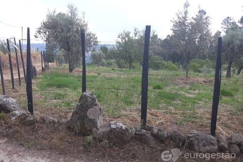 Helårsgrund i Viseu, Viseu, Viseu - € 95.000 | Ref: LMG_3620 - N - foto 5