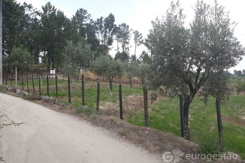 Helårsgrund i Viseu, Viseu, Viseu - € 95.000 | Ref: LMG_3620 - N - foto 6