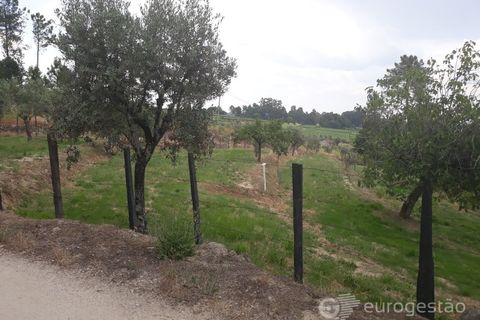 Helårsgrund i Viseu, Viseu, Viseu - € 95.000 | Ref: LMG_3620 - N - foto 7
