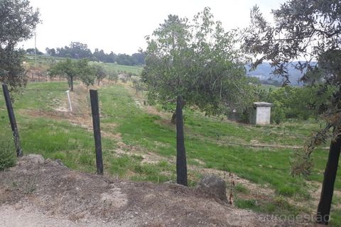 Helårsgrund i Viseu, Viseu, Viseu - € 95.000 | Ref: LMG_3620 - N - foto 8