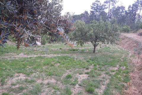 Helårsgrund i Viseu, Viseu, Viseu - € 95.000 | Ref: LMG_3620 - N - foto 9