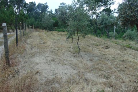 Helårsgrund i Viseu, Viseu, Viseu - € 95.000 | Ref: LMG_3620 - N - foto 10