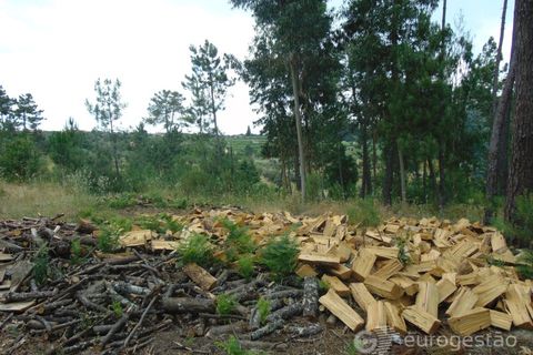 Helårsgrund i Viseu, Viseu, Viseu - € 95.000 | Ref: LMG_3620 - N - foto 11
