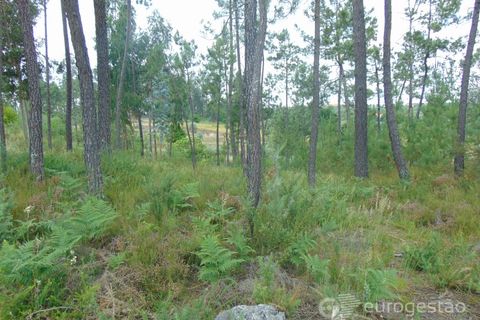 Helårsgrund i Viseu, Viseu, Viseu - € 95.000 | Ref: LMG_3620 - N - foto 12