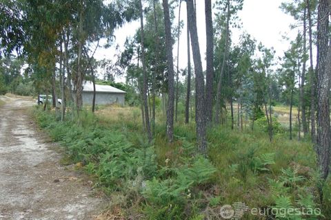 Helårsgrund i Viseu, Viseu, Viseu - € 95.000 | Ref: LMG_3620 - N - foto 13