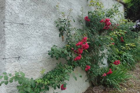 Helårsgrund i Viseu, Viseu, Viseu - € 95.000 | Ref: LMG_3620 - N - foto 14