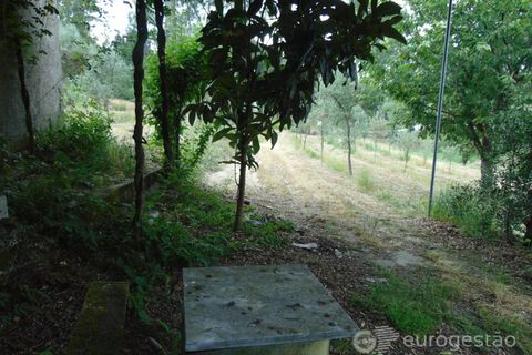 Helårsgrund i Viseu, Viseu, Viseu - € 95.000 | Ref: LMG_3620 - N - foto 15