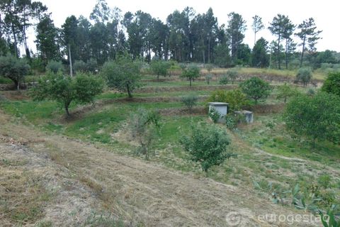 Helårsgrund i Viseu, Viseu, Viseu - € 95.000 | Ref: LMG_3620 - N - foto 16