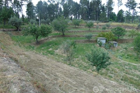Helårsgrund i Viseu, Viseu, Viseu - € 95.000 | Ref: LMG_3620 - N - foto 17