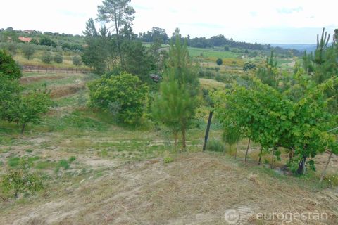 Helårsgrund i Viseu, Viseu, Viseu - € 95.000 | Ref: LMG_3620 - N - foto 18