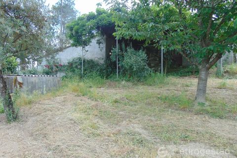 Helårsgrund i Viseu, Viseu, Viseu - € 95.000 | Ref: LMG_3620 - N - foto 19