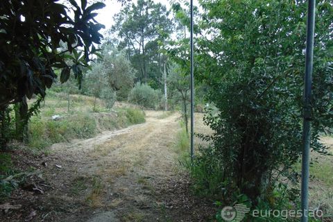 Helårsgrund i Viseu, Viseu, Viseu - € 95.000 | Ref: LMG_3620 - N - foto 25